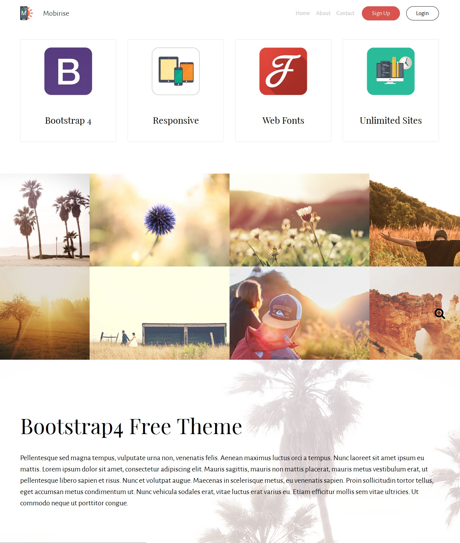 CSS3 Bootstrap Video Theme