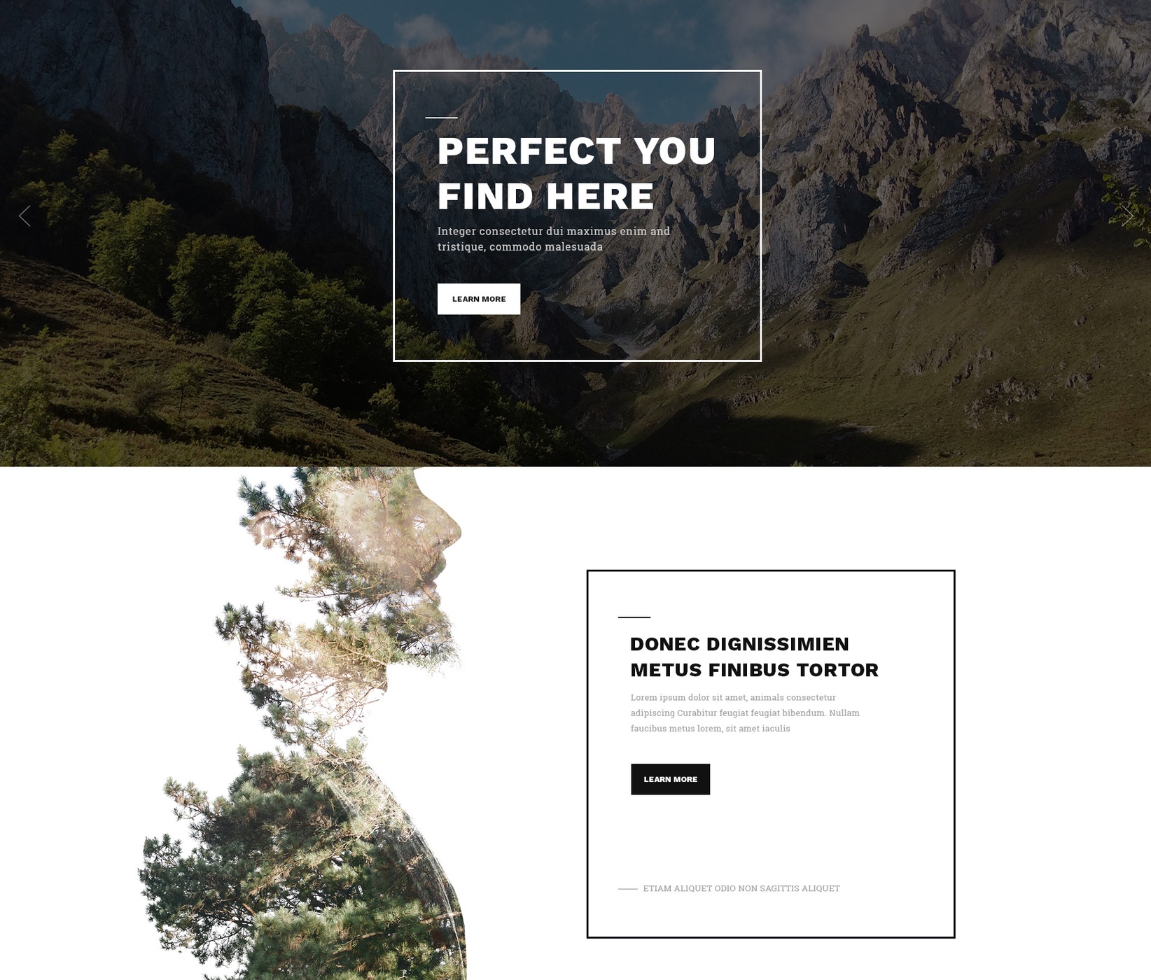 CSS3 Bootstrap Travel Theme