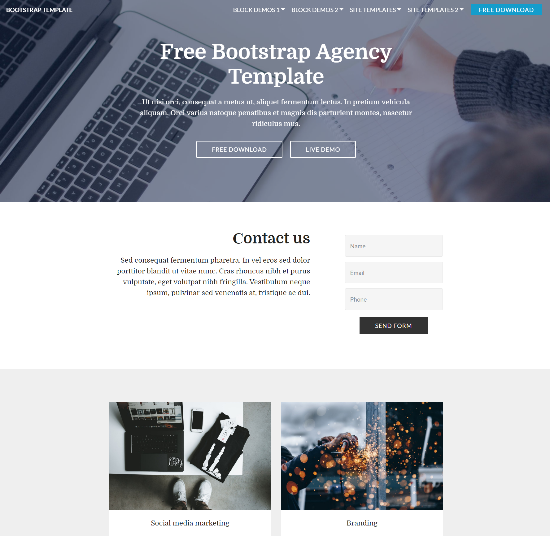 Free Download Bootstrap  Agency Templates