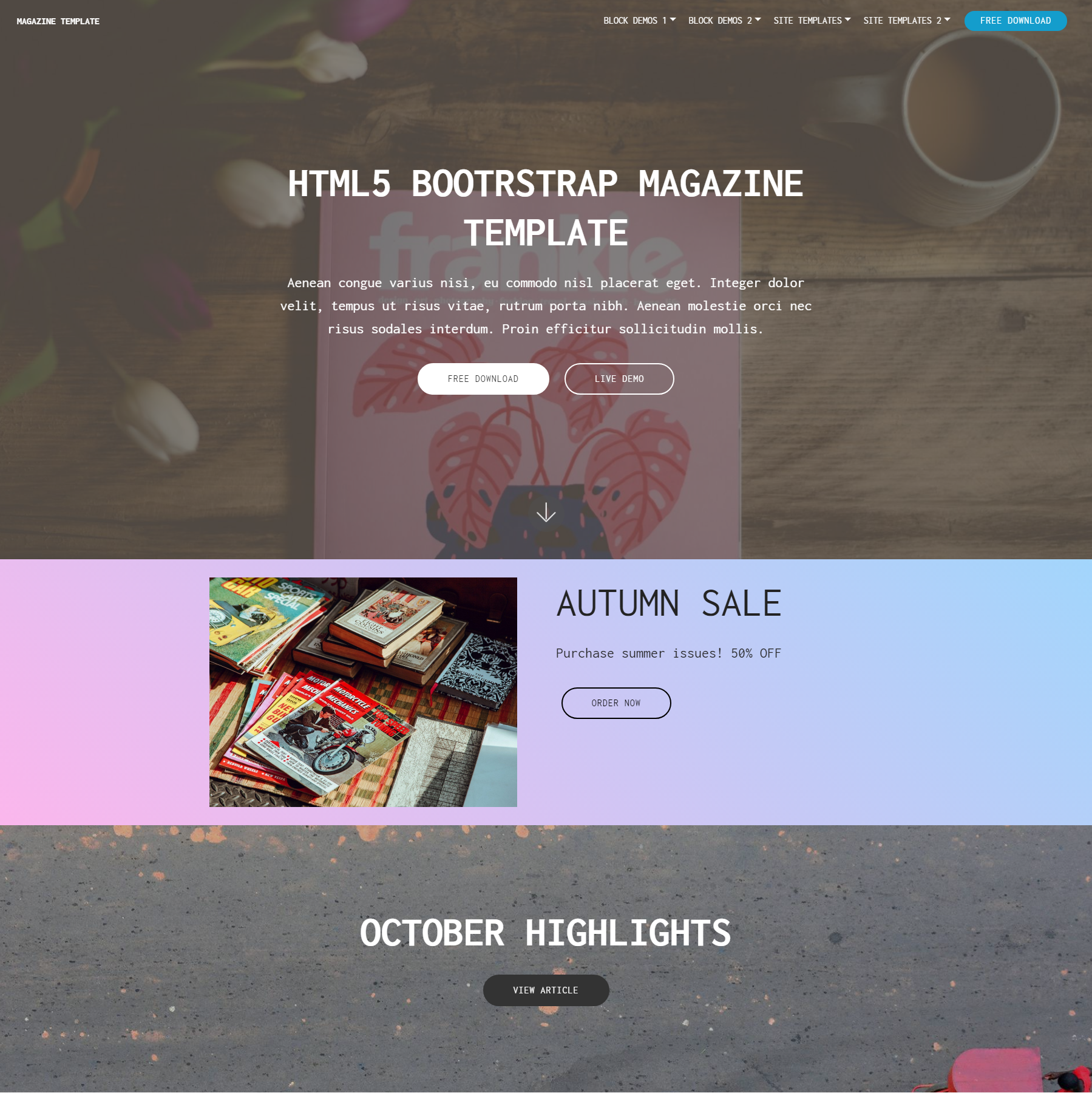 Free Bootstrap Magazine Templates