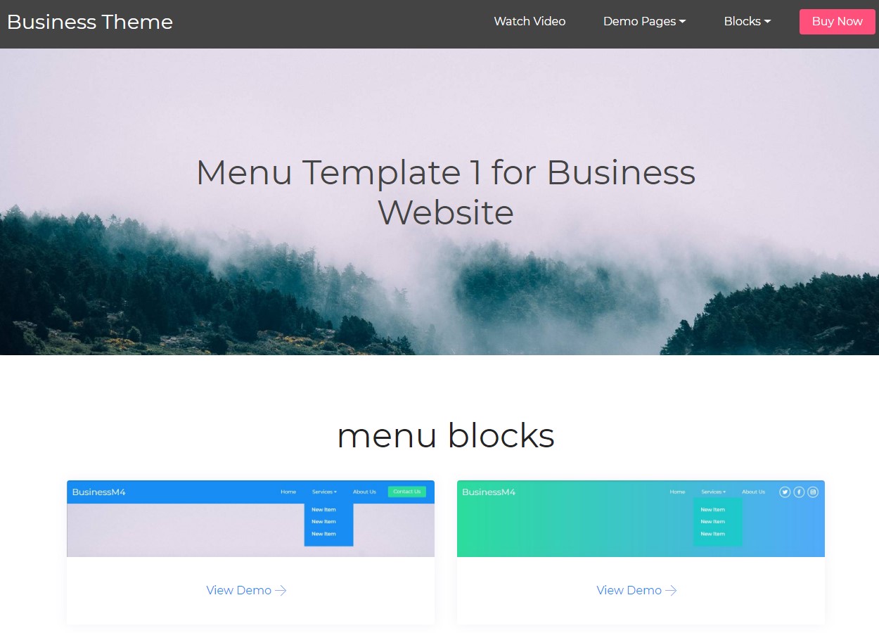 Website Template